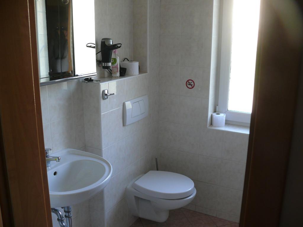 Guest house Dana Troja